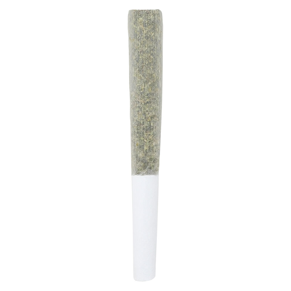 Crooked Dory - AAA+ Sativa Pre-Roll - Crooked Dory - AAA+ Sativa Pre-roll - 14x0.5g