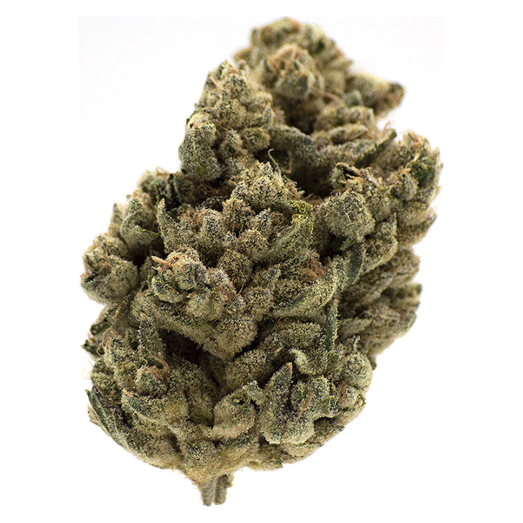 MTL Cannabis - Jungl' Cake