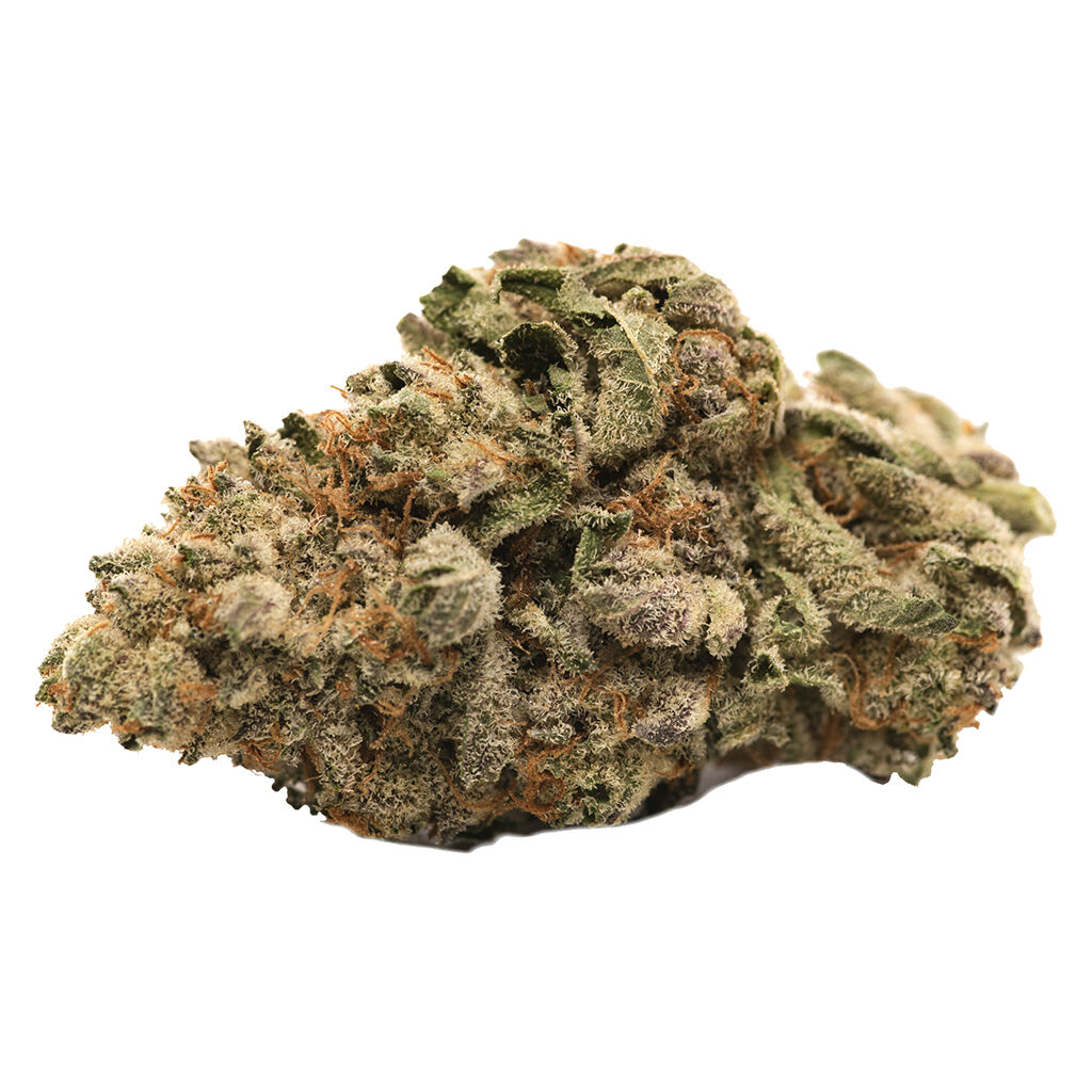Stoned - Grease Monkey