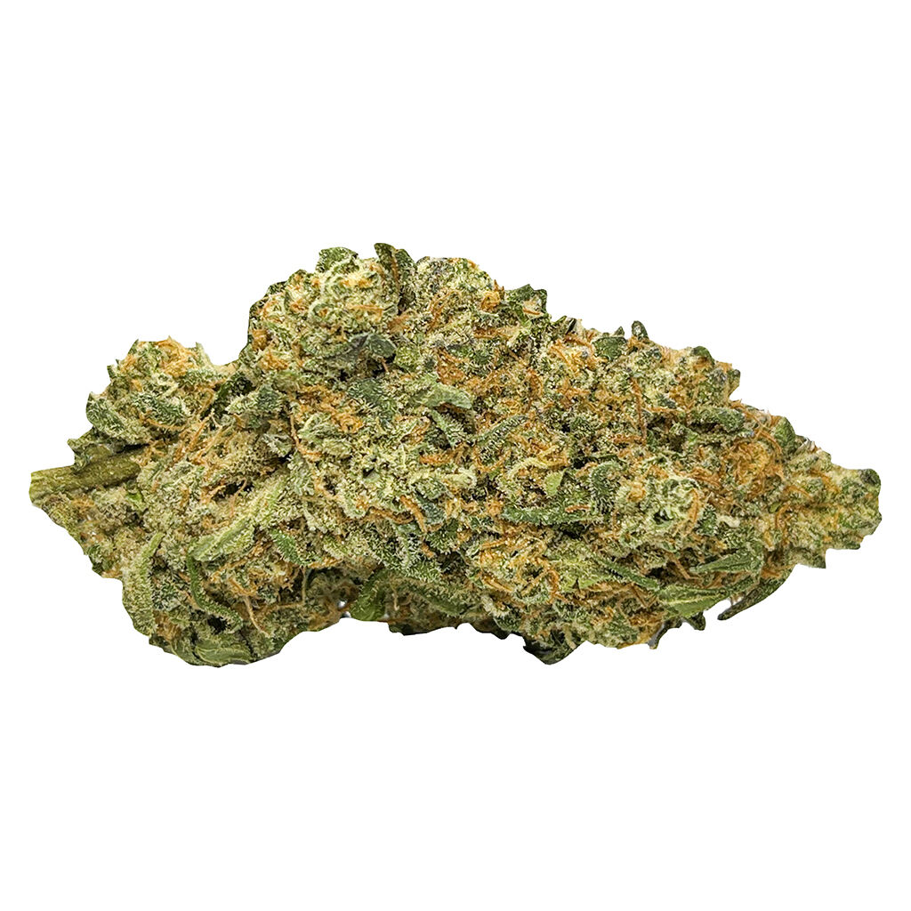 The Green Organic Dutchman – TGOD - Organic Green Diesel