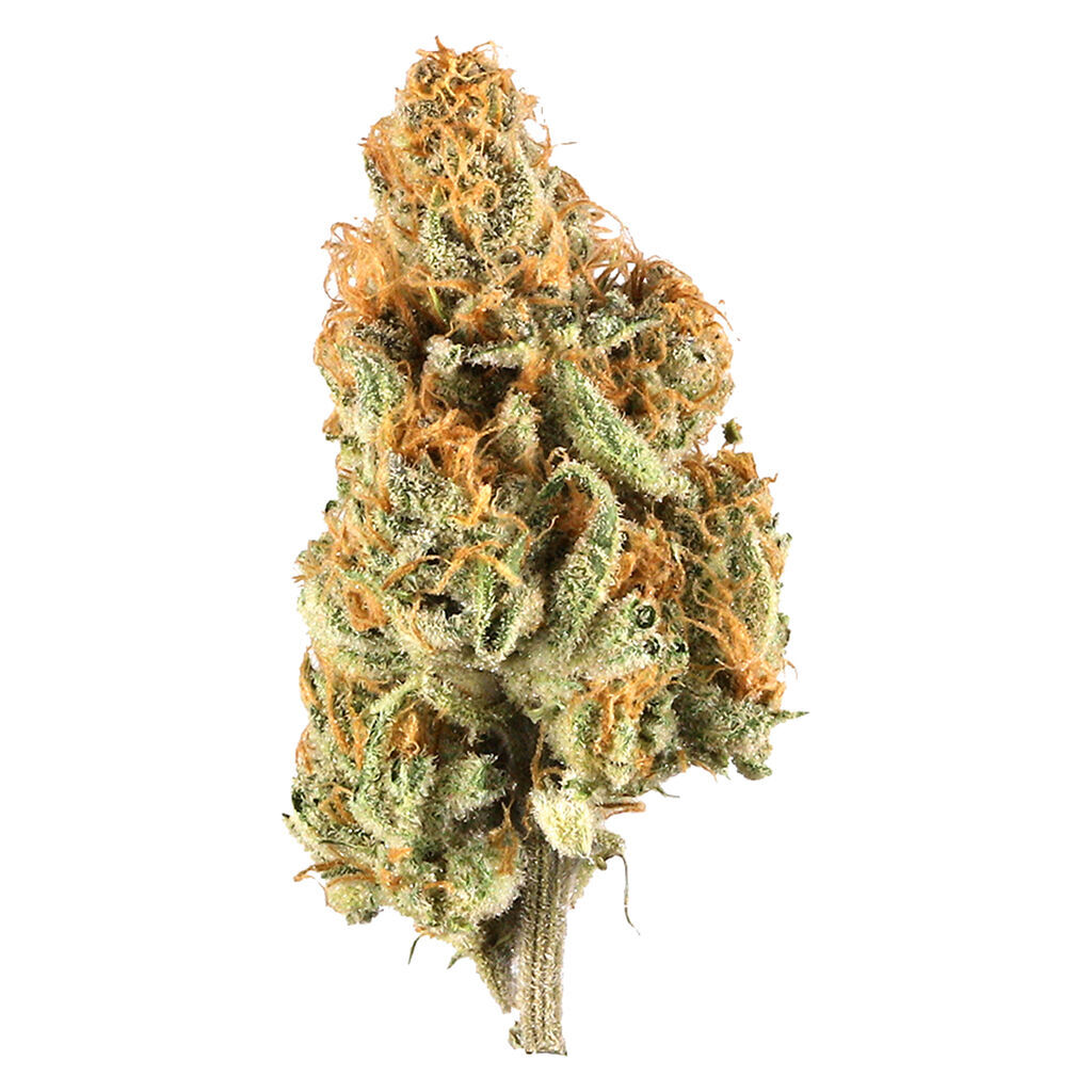 RETRO HAZE - LEMON HAZE